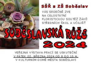 Soběslavská růže 2024 1