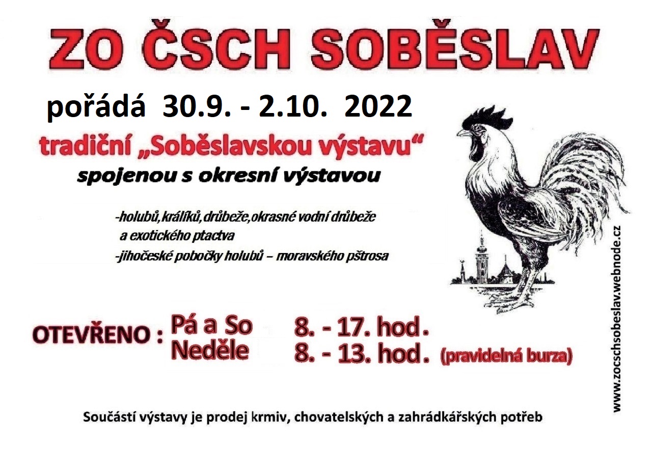 Soběslavská výstava chovatelů 1